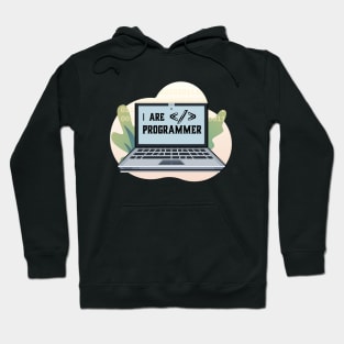 funny i are programmer Hoodie